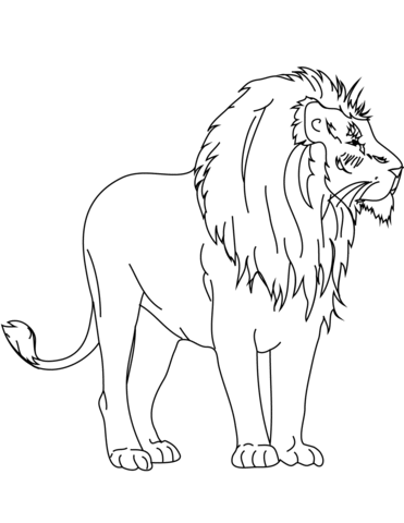 African Lion Coloring Page